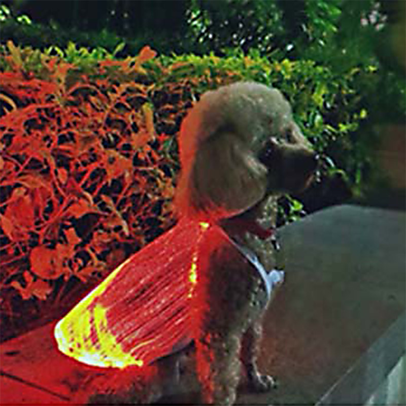 LED Glowing Cat Dog Apparel USB Rechargeable Colorful Anti-lost Luminous Pet Supplies