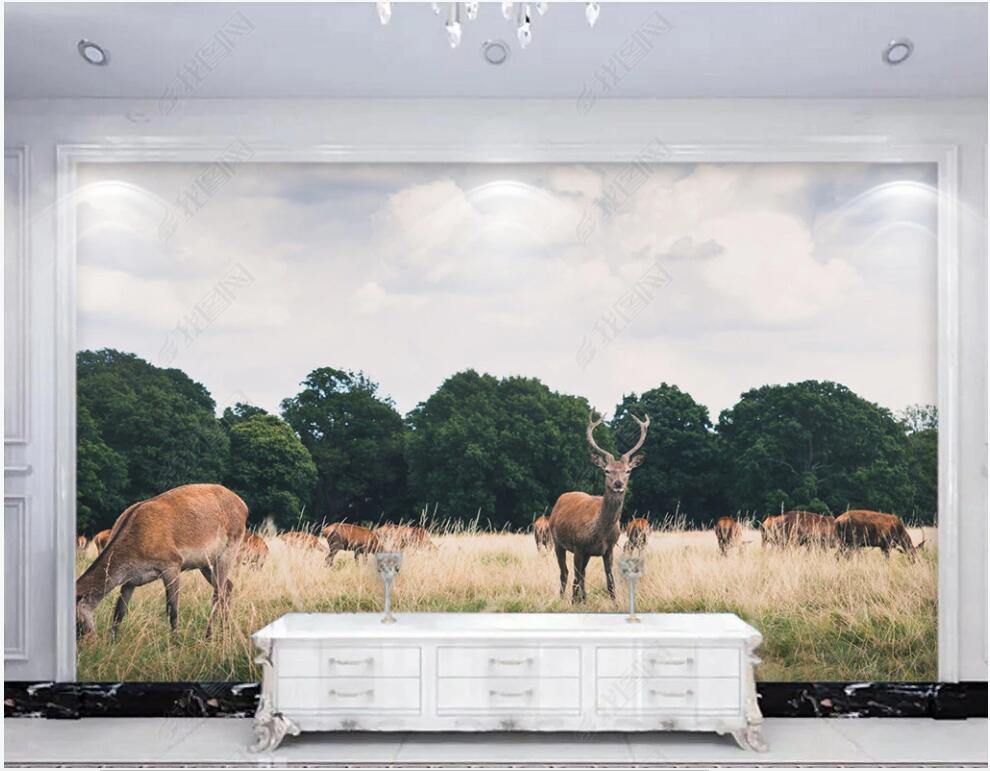 custom photo mural on the wall 3d wallpaper Elk herd in the African savannah home decor living room 3d wall murals wallpaper for walls 3 d, Non-woven wallpaper
custom photo mural on the wall 3d wallpaper Elk herd in the African savannah home decor living room 3d wall murals wallpaper for walls 3 d, Non-woven wallpaper
