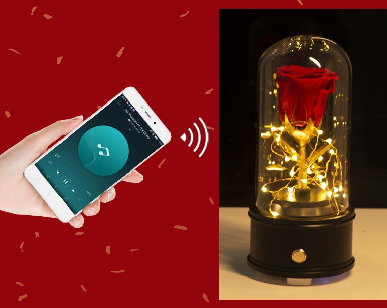 immortal flowers with glass cover Bluetooth speaker Christmas Valentine's Day gift to girlfriend music box 3 colors, As pic
immortal flowers with glass cover Bluetooth speaker Christmas Valentine's Day gift to girlfriend music box 3 colors, As pic