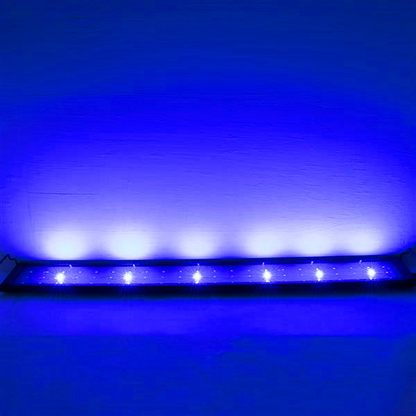 Discount 18W 66LED Full Spectrum Sea Coral Lamp 35.43inch Black US Standard ZC001224 (Suitable For 35.43-43.3inch Long Aquarium)
Discount 18W 66LED Full Spectrum Sea Coral Lamp 35.43inch Black US Standard ZC001224 (Suitable For 35.43-43.3inch Long Aquarium)