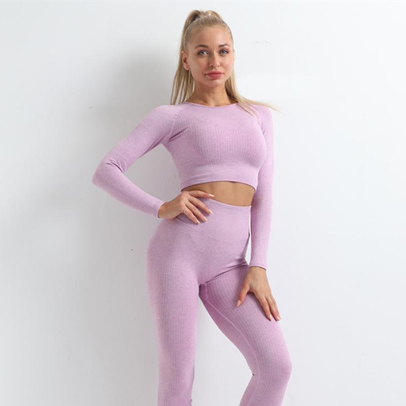 Seamless Yoga Sports Bra Set Black Leggings High Waist Women Gym Clothing Long Sleeve Workout Outfit Fitness Running Tracksuit, 555-1-grey
Seamless Yoga Sports Bra Set Black Leggings High Waist Women Gym Clothing Long Sleeve Workout Outfit Fitness Running Tracksuit, 555-1-grey
