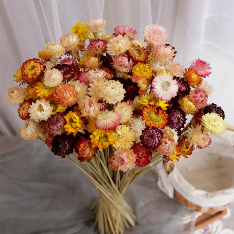 Decorative Flowers & Wreaths Natural Material Chrysanthemum Bouquet Art Atificial Wedding Home Decoration Scene Layout Mother's Day Gift
Decorative Flowers & Wreaths Natural Material Chrysanthemum Bouquet Art Atificial Wedding Home Decoration Scene Layout Mother's Day Gift