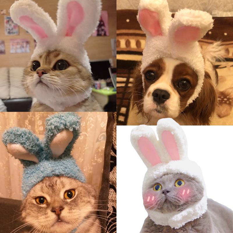 Cat Costumes Funny Pet Dog Cap Costume Warm Hat Year Party Christmas Cosplay Accessories Po Props Headwear Drop
Cat Costumes Funny Pet Dog Cap Costume Warm Hat Year Party Christmas Cosplay Accessories Po Props Headwear Drop