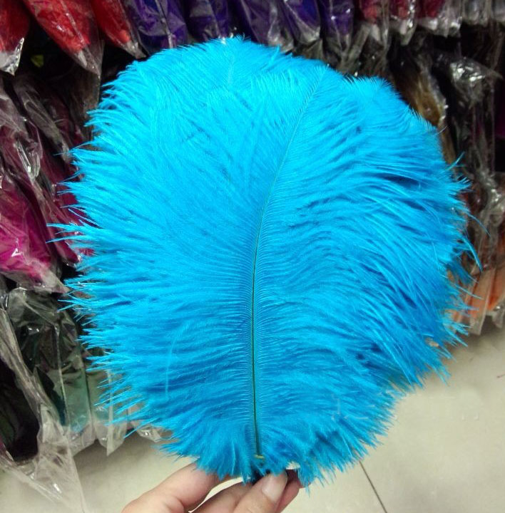 Decorative Ostrich Feathers in Various Shades Ideal for Weddings, Birthdays, and More (25-30cm)