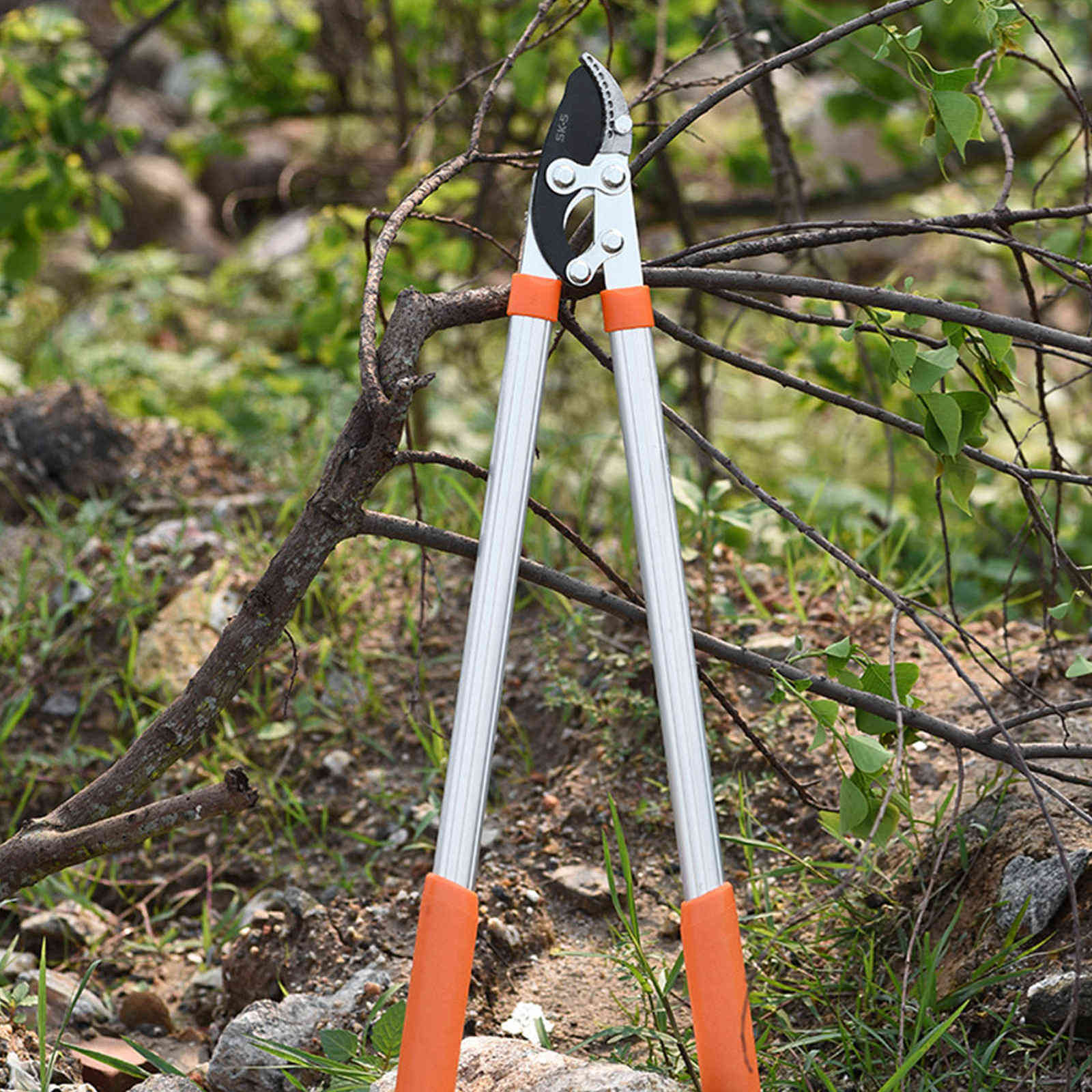 Loppers Sharp Anvil Lopper Professional Gardening Pruning Lopper Ratchet Loppers Secateurs Gardening Tool Kit for Cutting 210719