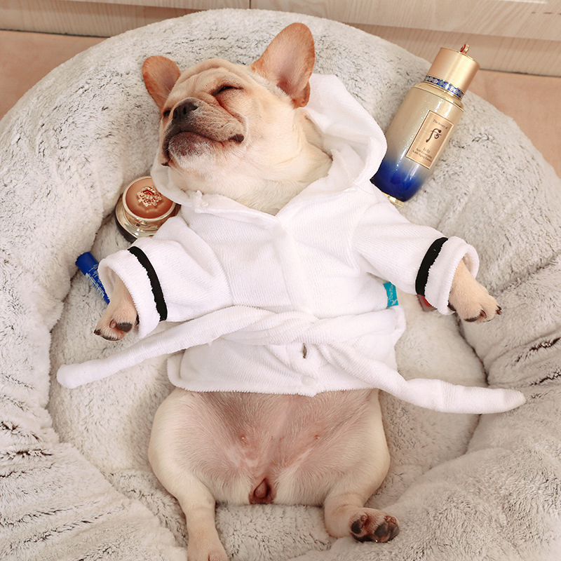 free shipping Pet Bathrobe with Hood Thickened Soft Cotton Apparel Dog Pamas Quick Drying and Super Absorbent Night Gown Bath Robe for Small Medium Do