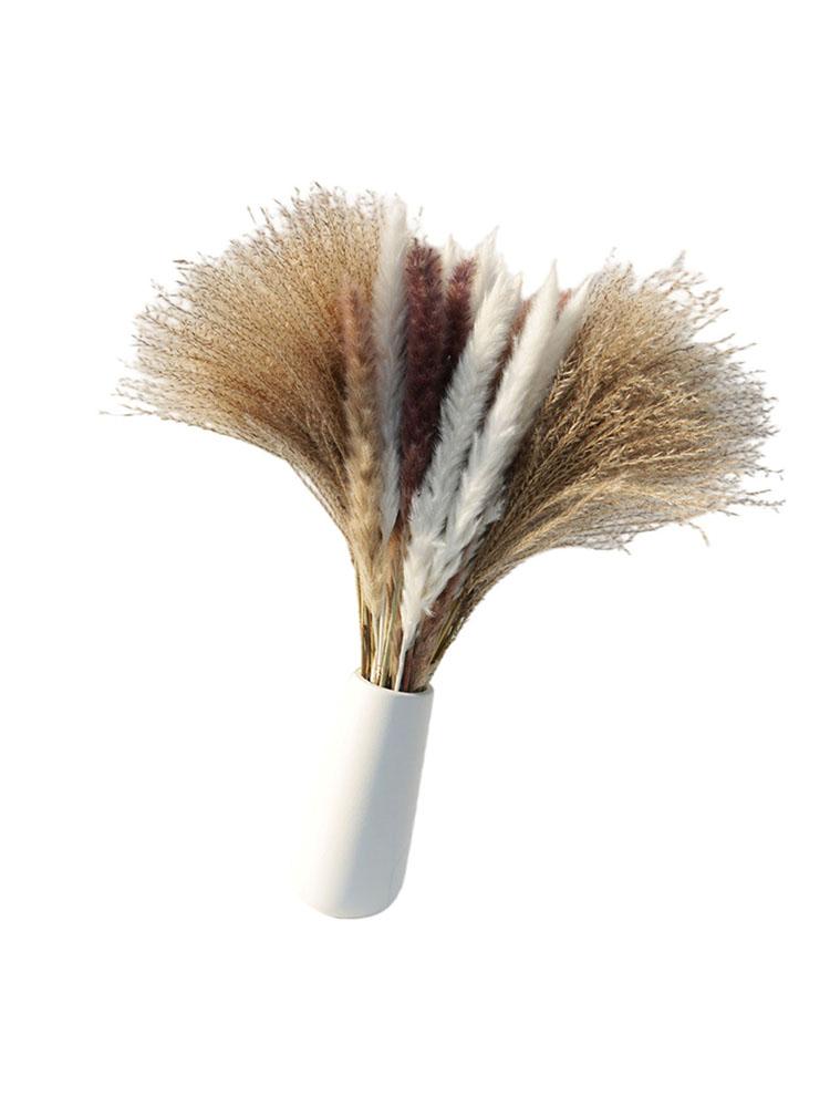 Decorative Flowers & Wreaths Wedding Party Decoration Tail Grass Pampas Home Decor Wheat Ears Fluffy Feather Reed Dried Plants Natura
Decorative Flowers & Wreaths Wedding Party Decoration Tail Grass Pampas Home Decor Wheat Ears Fluffy Feather Reed Dried Plants Natura