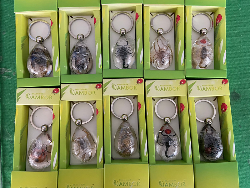 Real Bugs Insect Specimens Acrylic Resin Embedded Keychain Paperweight Transparent Mouse Key Rings Decoration New Fashion Toys&Gifts&Crafts
Real Bugs Insect Specimens Acrylic Resin Embedded Keychain Paperweight Transparent Mouse Key Rings Decoration New Fashion Toys&Gifts&Crafts