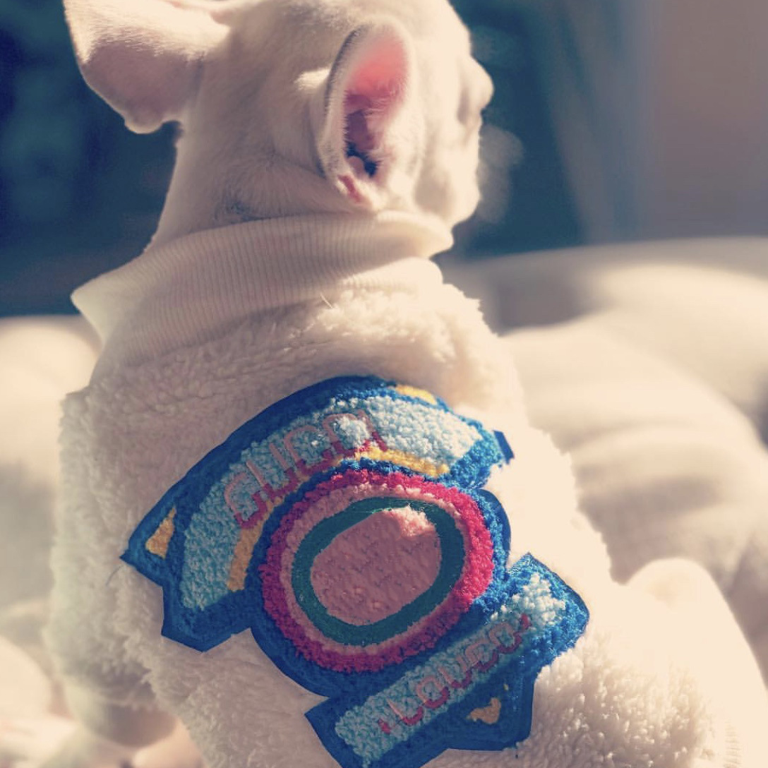 Half Zipper Pet Leisure Sweater Fashion Autumn Winter Print Pet Clothes Teddy Schnauzer Chihuahua Pet Costume
Half Zipper Pet Leisure Sweater Fashion Autumn Winter Print Pet Clothes Teddy Schnauzer Chihuahua Pet Costume
