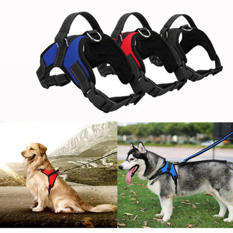 2021 New Arnez Collection Doggy Hard Collar Strong Exhaust Dog Leash Harness Accessories Style Products Wqw2
2021 New Arnez Collection Doggy Hard Collar Strong Exhaust Dog Leash Harness Accessories Style Products Wqw2
