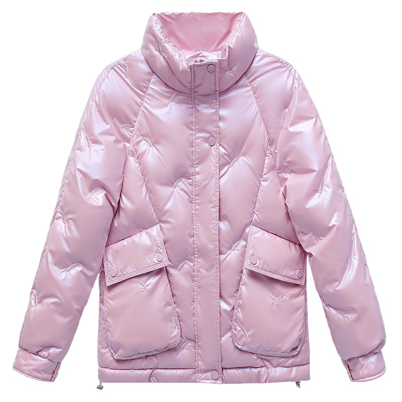Women's Winter Down Jacket With Zipper Stand-up collar Korean Style Loose Glossy Thick parkas Warm embroidered FemaleCoat, White
Women's Winter Down Jacket With Zipper Stand-up collar Korean Style Loose Glossy Thick parkas Warm embroidered FemaleCoat, White