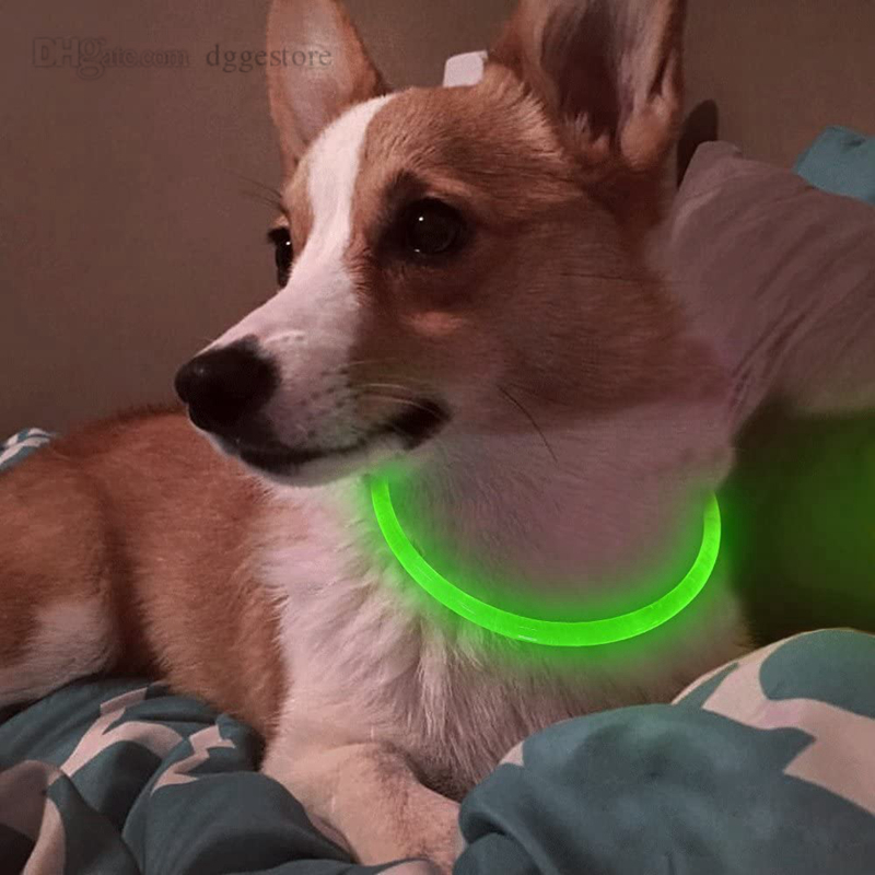 LED Glowing Dog USB Charging Sparkle Pet Collar Night Luminous Dogs Collars Rechargeable Nights Safety Flashing Necklace 8 Color Wholesale B30
