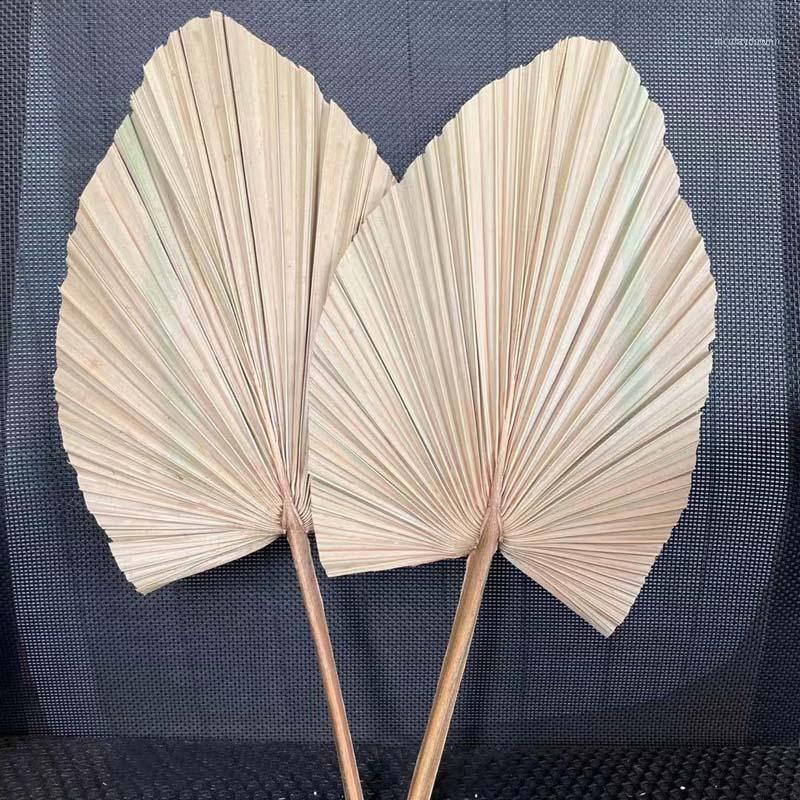 Decorative Flowers & Wreaths 12PCS Palmblad Gedroog Dried Natural Palm Leaves,Dry Fan,Wedding Party Art Wall Hanging Decoration Arch Arrange
Decorative Flowers & Wreaths 12PCS Palmblad Gedroog Dried Natural Palm Leaves,Dry Fan,Wedding Party Art Wall Hanging Decoration Arch Arrange