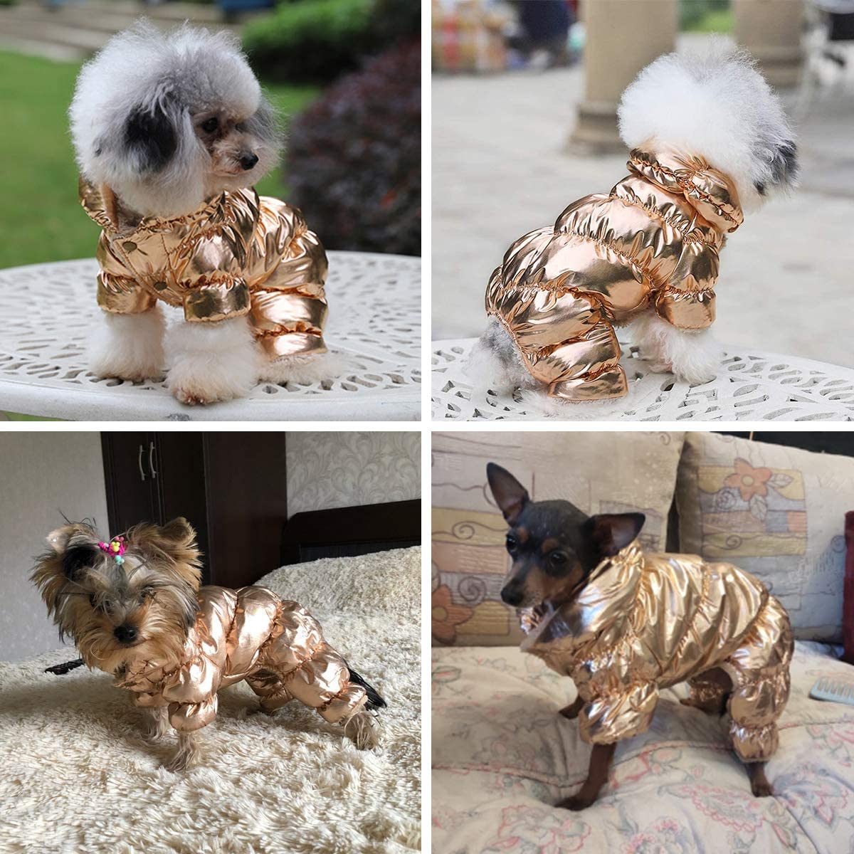 Dog Apparel 5 Color Big Designer or Small Large Dogs Winter Pets Coat Waterproof Puppy Jacket Snowsuit Warm Imitation Fleece Padded Pet Clothes