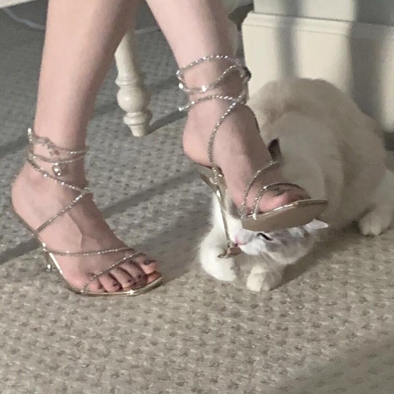 Dress Shoes Rhinestone High-heeled Sandals Female 2021 Net Red Ins Fashion Fairy Plus Size, Gold
Dress Shoes Rhinestone High-heeled Sandals Female 2021 Net Red Ins Fashion Fairy Plus Size, Gold