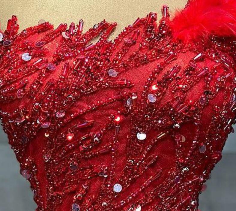 Aso Ebi 2021 Arabic Gold Luxurious Red Sexy Evening Dresses Beaded Crystals Prom Dresses Feather Formal Party Second Reception Gowns ZJ066