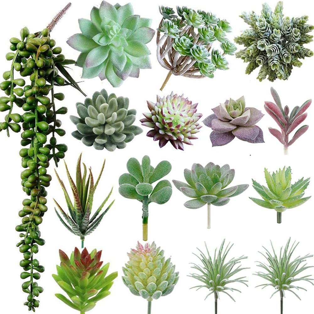 Flocking flower arrangement accessories fake succulent plastic decorative plant potted simulation
Flocking flower arrangement accessories fake succulent plastic decorative plant potted simulation