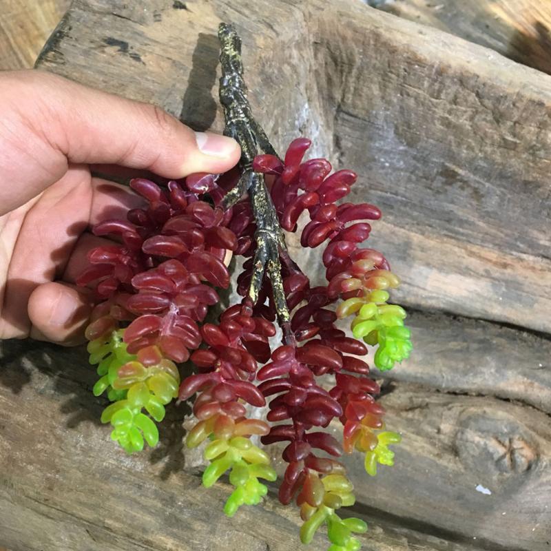 1pc Imitation Plant Fairy Fruit Green Plant with 7 Fork Branches Artificial Grass Fruits Flower Arrangement Photo Props (Purple
1pc Imitation Plant Fairy Fruit Green Plant with 7 Fork Branches Artificial Grass Fruits Flower Arrangement Photo Props (Purple