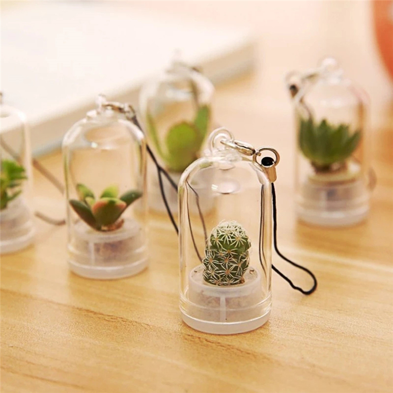 2PCs Random Mini Succulent Cactus Plant Keyring Charm Green Fleshy Plant Pendant Keychain with Glass Cover Craft Gifts for Women