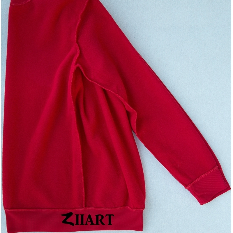 Paper Crane EST 2005 Prison Break property of scofield fox river state penitentiary boys man autumn winter fleece Sweatshirt 201128