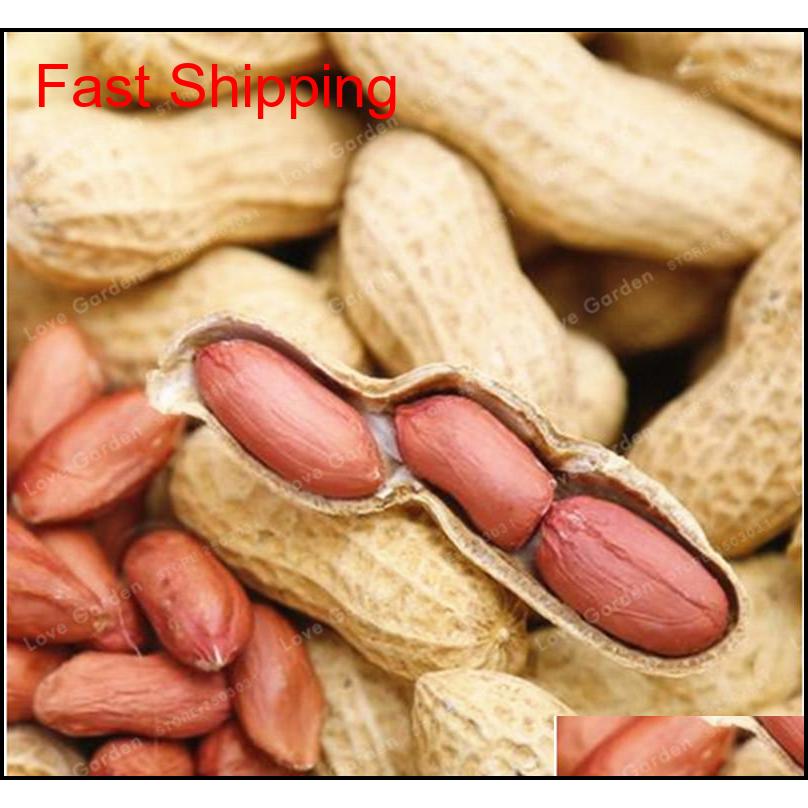 10 Pcs Arachis Hypogaea Seeds Red Black Organic Rare Heirloom Peanut Plant Seeds Organic Vegetable See qylcEX toys2010
10 Pcs Arachis Hypogaea Seeds Red Black Organic Rare Heirloom Peanut Plant Seeds Organic Vegetable See qylcEX toys2010