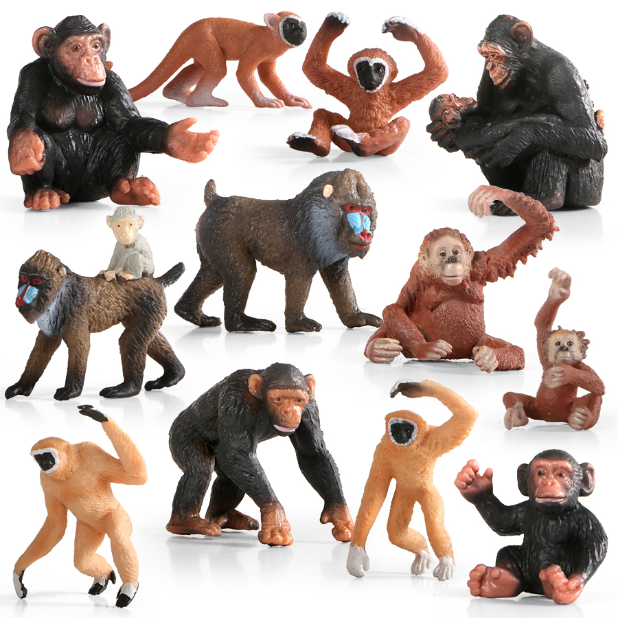 

Wild Forest Animals Chimpanzee Family Mandrill Monkey Models Simulation Figurines Action Figures Toy Educational Kids Toys C0220