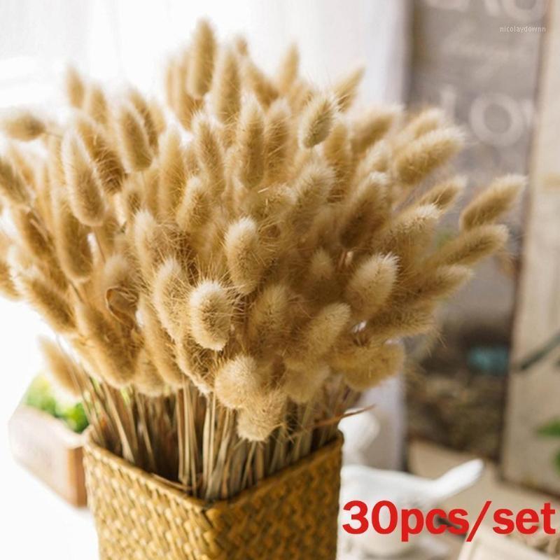 Decorative Flowers & Wreaths 30Pcs/Bunch Tail Grass Dried Natural Home Decoration Accessories Flower Bouquet Pography Props
Decorative Flowers & Wreaths 30Pcs/Bunch Tail Grass Dried Natural Home Decoration Accessories Flower Bouquet Pography Props