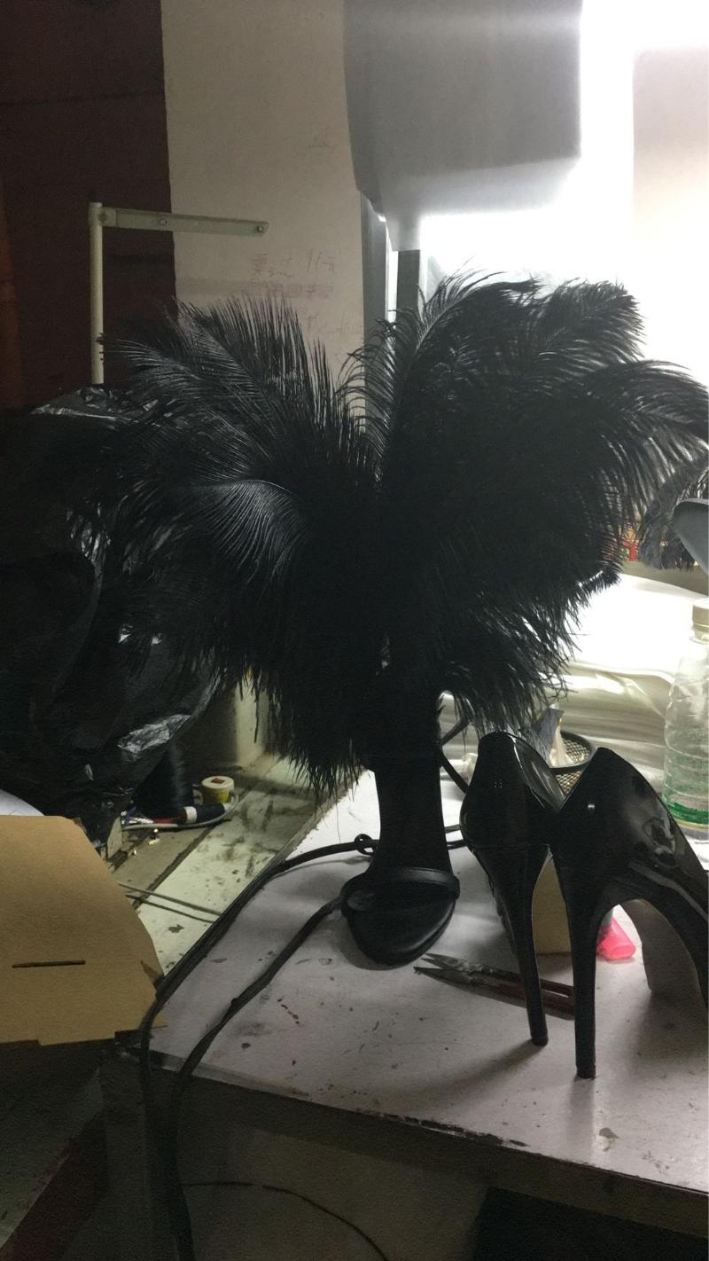 show fashion sandals genuine leather feather stiletto heel shoes