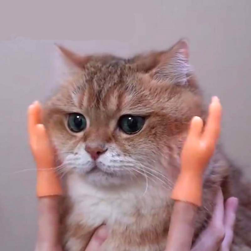 Cat Toys 1PCS The Same Type Of Pet Licking Gloves, Little Finger Sets, Funny Hands, Massage Supplies,
Cat Toys 1PCS The Same Type Of Pet Licking Gloves, Little Finger Sets, Funny Hands, Massage Supplies,