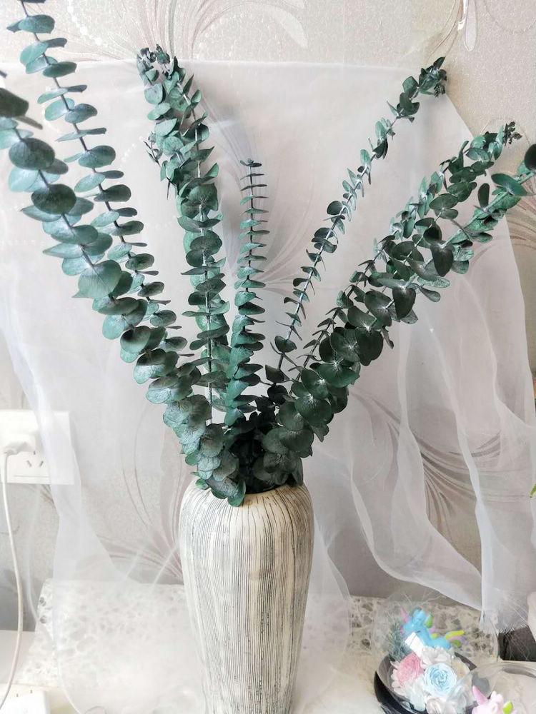 Decorative Flowers & Wreaths 5pcs Real Dried Eucalyptus Branches,Preserved Fresh Flower Bouquet Nature Green Plant Leaves For Garden Home We
Decorative Flowers & Wreaths 5pcs Real Dried Eucalyptus Branches,Preserved Fresh Flower Bouquet Nature Green Plant Leaves For Garden Home We