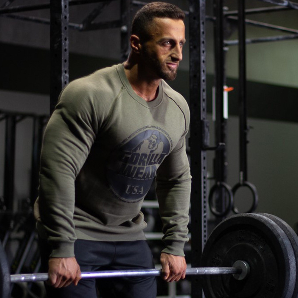 Gym Sweatshirt Fitness Workout Hoodies Mens Casual Cotton Sportswear Autumn Male Fashion Print Pullover Tops Brand Clothes, Light gray
Gym Sweatshirt Fitness Workout Hoodies Mens Casual Cotton Sportswear Autumn Male Fashion Print Pullover Tops Brand Clothes, Light gray