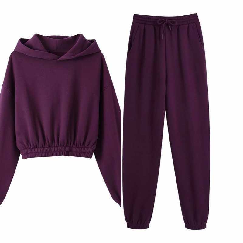 Fleece Tracksuits Women Two Pieces Set Hooded Oversized Sweatshirt Pants Solid Color Hoodie Suits Autumn Winter Casual Outfits 210607
Fleece Tracksuits Women Two Pieces Set Hooded Oversized Sweatshirt Pants Solid Color Hoodie Suits Autumn Winter Casual Outfits 210607