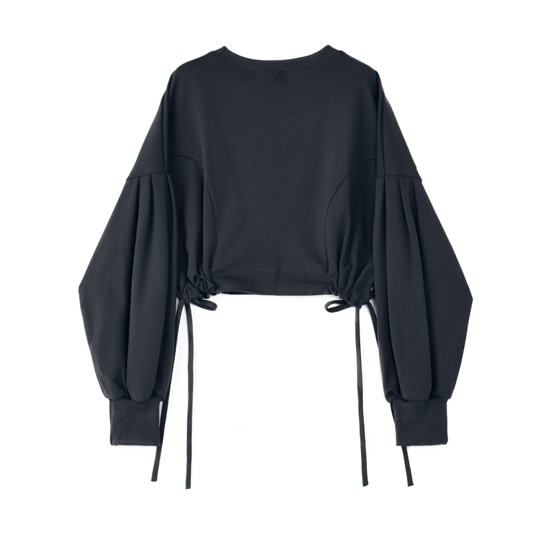 Hoodie women leisure pullover Autumn Fashion Casual tops Streetwear Long Sleeve O-neck short harajuku sweatshirt women 201102