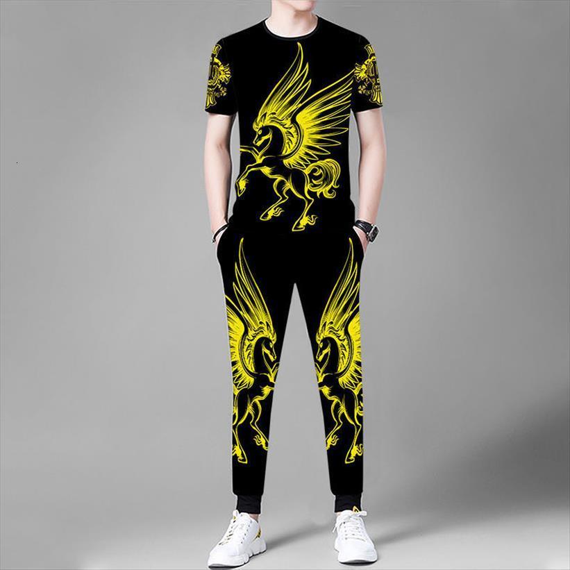 summer short sleeved t shirt men tracksuit trousers 2 piece 3d pegasus print suit fashion chinese style dragon pattern clothing, Gray
summer short sleeved t shirt men tracksuit trousers 2 piece 3d pegasus print suit fashion chinese style dragon pattern clothing, Gray