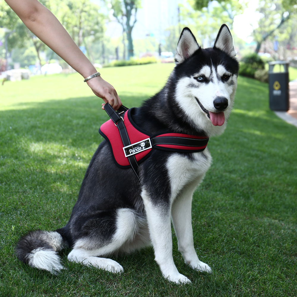 2021 New Free Shipment of Good Quality Big Dog Harness Red Camouflage Black Color Collar Strong Pet Products 72xq
2021 New Free Shipment of Good Quality Big Dog Harness Red Camouflage Black Color Collar Strong Pet Products 72xq