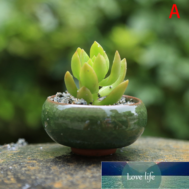 Cute Mini Ice-Crack Glaze Flower Ceramic Succulent Flower Plant Pot Succulent Planter Flowerpot Office Home Desktop Decoration Factory price expert de