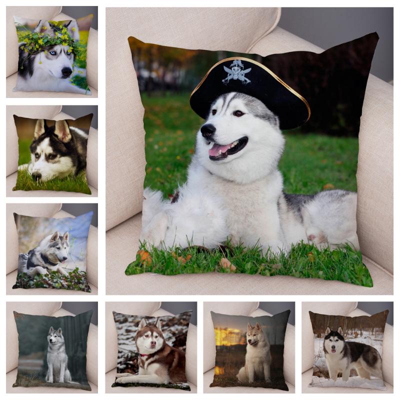 Cushion/Decorative Pillow Cute Pet Animal Case Covers Decor Siberian Husky Dog Cushion Cover For Sofa Home Super Soft Plush Pillowcase 45*45
Cushion/Decorative Pillow Cute Pet Animal Case Covers Decor Siberian Husky Dog Cushion Cover For Sofa Home Super Soft Plush Pillowcase 45*45