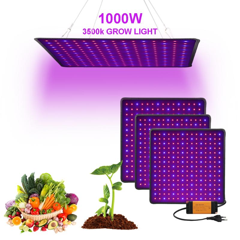 Grow Tent Lamp 1000W LED Grow Light Phyto Lamp For Plant Full Spectrum Led Lights For Indoor Growing Flowers Herbs
Grow Tent Lamp 1000W LED Grow Light Phyto Lamp For Plant Full Spectrum Led Lights For Indoor Growing Flowers Herbs