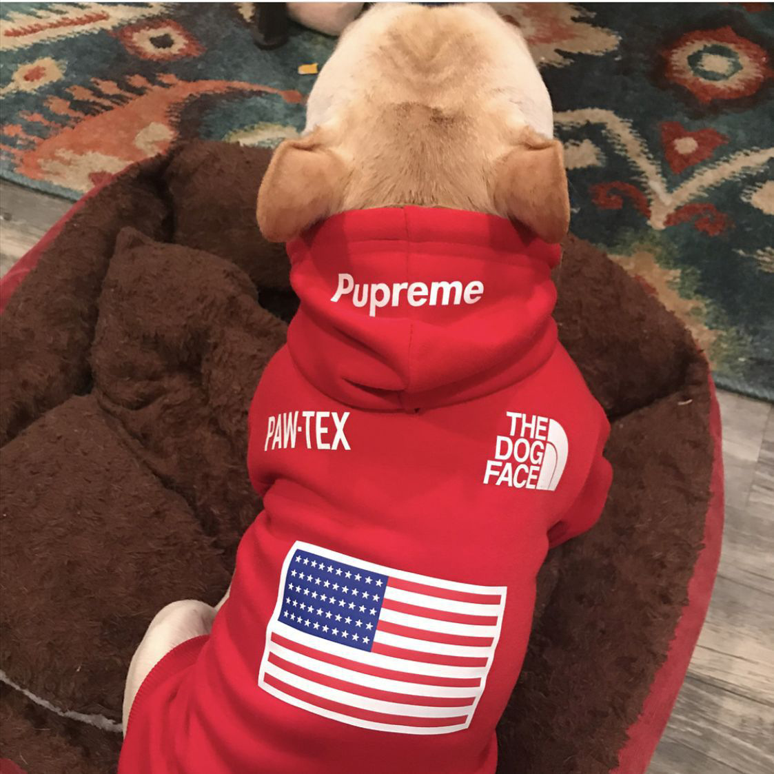 Autumn Winter Dog Apparel Two-Legged Red Homewear Sweatshirts For Small And Medium Dogs Sweater Pet Sports Clothes Jacket Pets Clothing Cott
Autumn Winter Dog Apparel Two-Legged Red Homewear Sweatshirts For Small And Medium Dogs Sweater Pet Sports Clothes Jacket Pets Clothing Cott