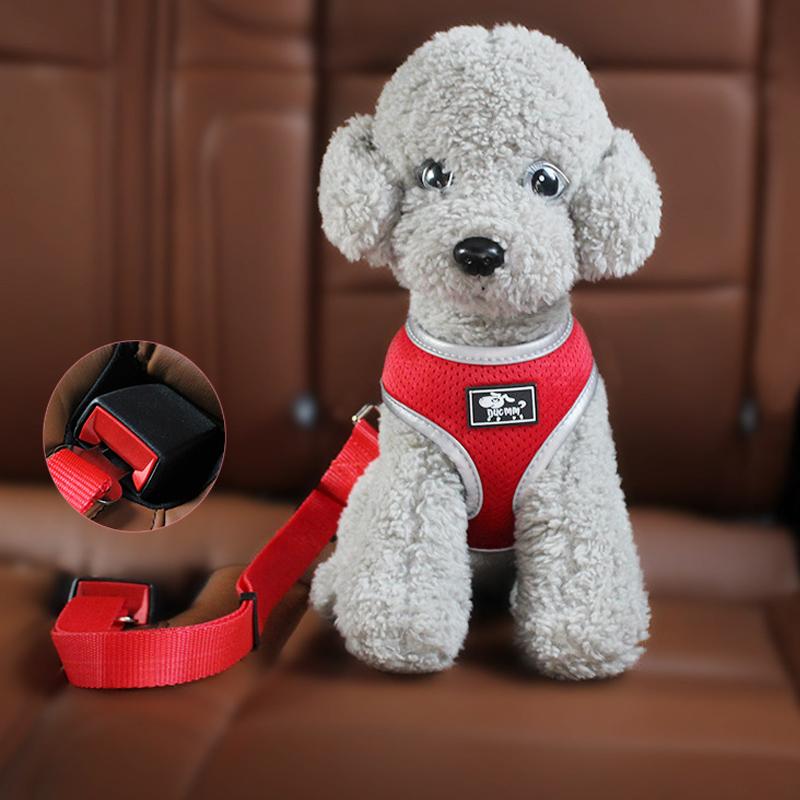 safety belts & accessories pet car seat belt supplies animal adjustable length traction rope travel clip retractable
safety belts & accessories pet car seat belt supplies animal adjustable length traction rope travel clip retractable