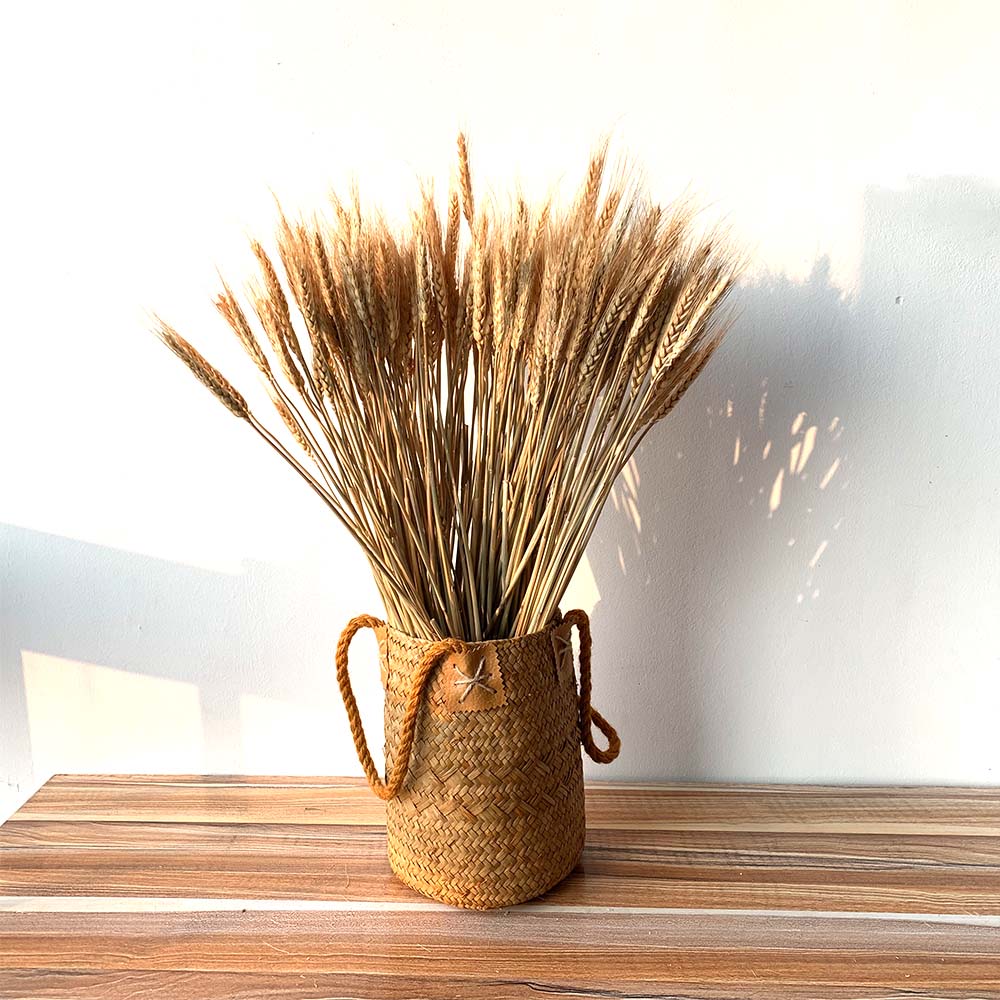 50Pcs/ot Rea Wheat Ear Fower incude Hand Woven Basket Natura Dried Fowers Wedding Home Decoration Wheat Bouquet, 100 pcs with vase
50Pcs/ot Rea Wheat Ear Fower incude Hand Woven Basket Natura Dried Fowers Wedding Home Decoration Wheat Bouquet, 100 pcs with vase