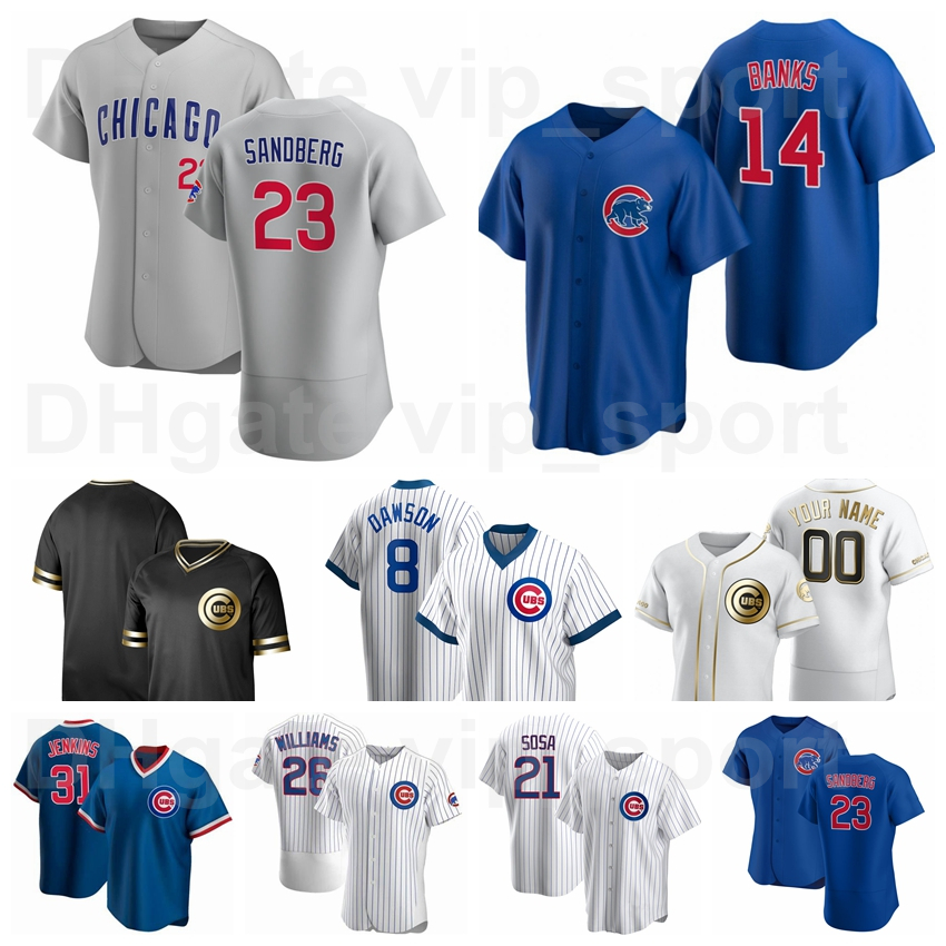 23 Ryne Sandberg Jersey Baseball 26 Billy Williams 10 Ron Santo 31 Ferguson Jenkins 21 Sammy Sosa 8 Andre Dawson 14 Ernie Banks, Blue;black
23 Ryne Sandberg Jersey Baseball 26 Billy Williams 10 Ron Santo 31 Ferguson Jenkins 21 Sammy Sosa 8 Andre Dawson 14 Ernie Banks, Blue;black