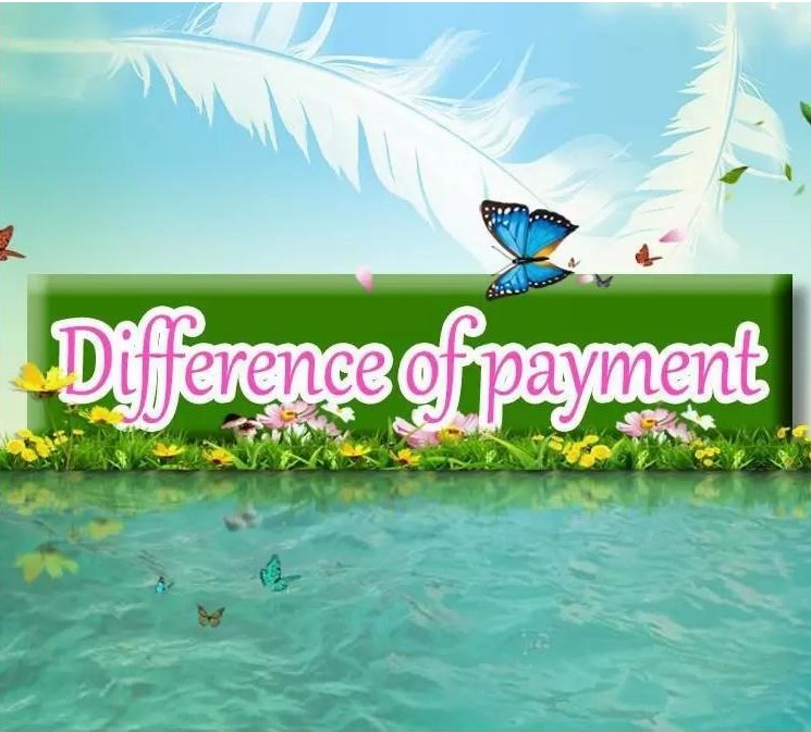 difference of payment от DHgate WW