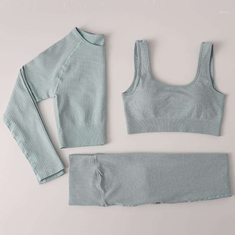 Jellpe Ribbed Seamless Yoga Set Sport Suit Workout Clothes For Women Long Sleeve Gym Crop Top High Waist Leggings Fitness Outfit, Blue bra
Jellpe Ribbed Seamless Yoga Set Sport Suit Workout Clothes For Women Long Sleeve Gym Crop Top High Waist Leggings Fitness Outfit, Blue bra