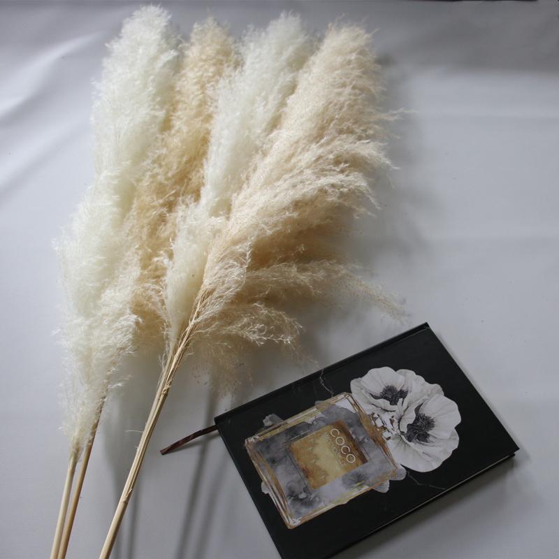 Decorative Flowers & Wreaths 80cm Pampas Grass Extra Large Natural White Dried Bouquet Fluffy For Boho Vintage Style Home Wedding Decor