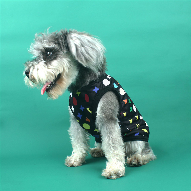Luxury Summer Pet Vest Colorful Letter Printed Dog Vests Cool Breathable Mesh Dogs Tee Bulldog Schnauzer Chihuahua, As pic
Luxury Summer Pet Vest Colorful Letter Printed Dog Vests Cool Breathable Mesh Dogs Tee Bulldog Schnauzer Chihuahua, As pic