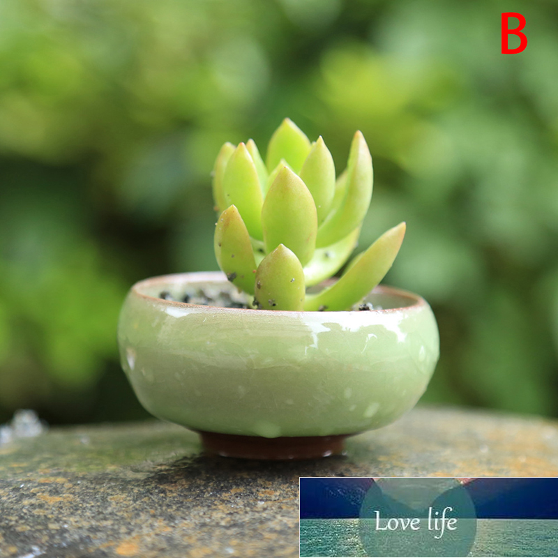 Cute Mini Ice-Crack Glaze Flower Ceramic Succulent Flower Plant Pot Succulent Planter Flowerpot Office Home Desktop Decoration Factory price expert de