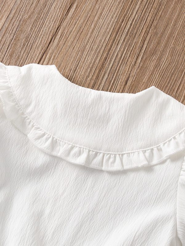 Toddler Girls Floral Embroidered Frilled Statement Collar Puff Sleeve Dress SHE