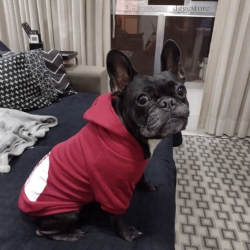 Designer Pet Clothes Sweater Dog Apparel Four Seasons Medium and Large Dogs Hoodie The Doggy Face Labrador French Bulldog Jacket Clothing 20 Color Who