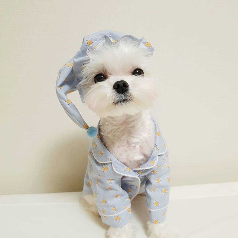 INS Fashion Star Printed Pet Sleepwear Cute Casual Small Dog Home Shirts Teddy Bulldog Schnauzer Dog Apparel
INS Fashion Star Printed Pet Sleepwear Cute Casual Small Dog Home Shirts Teddy Bulldog Schnauzer Dog Apparel